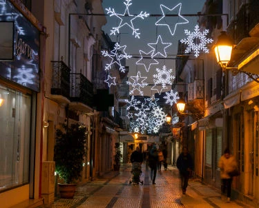 Tecnoelettra decorazioni luci Natale - Comuni e privati