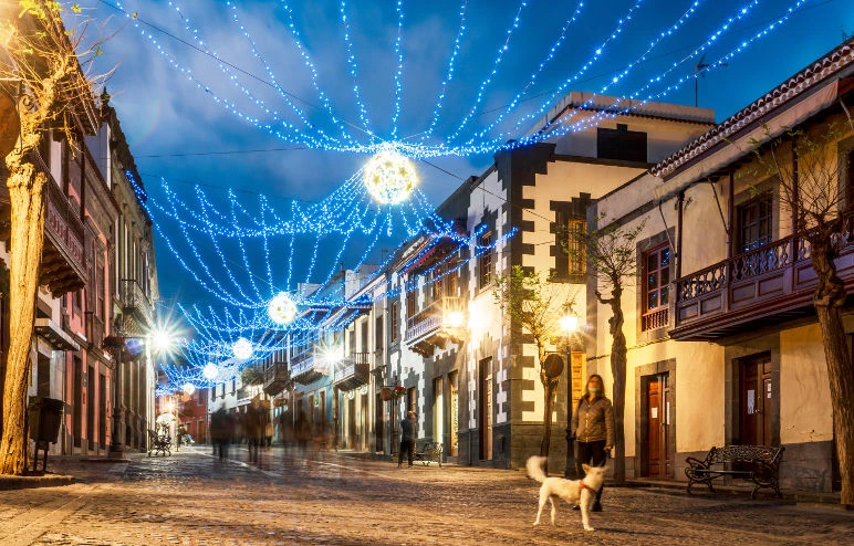 Tecnoelettra - luminarie Natalizie - Canavese