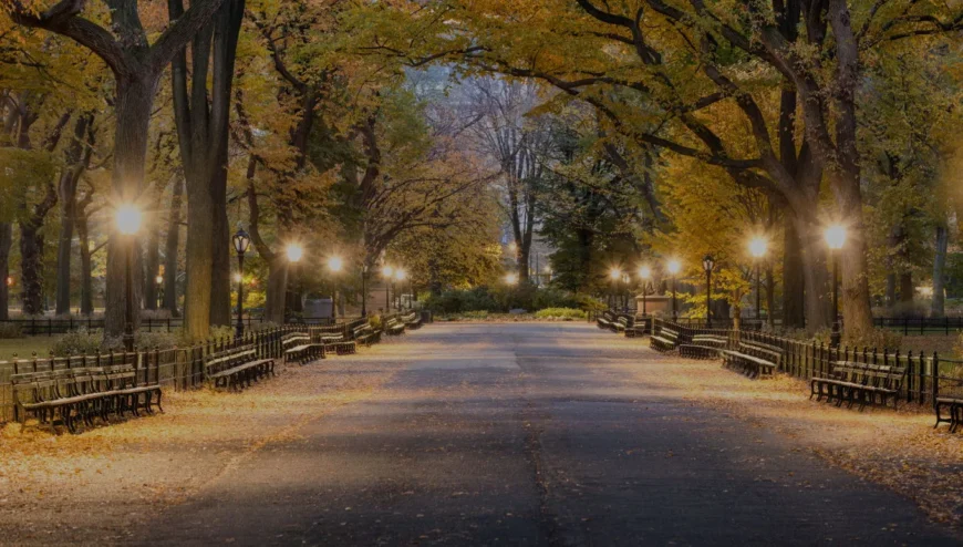 Tecnoelettra - illuminazione pubblica luminarie Natale - Ivrea
